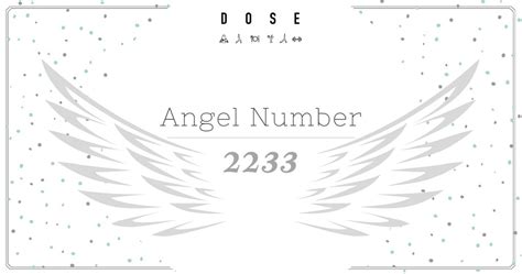 2233 angel number twin flame|Angel number 2233: Everything you thought you。